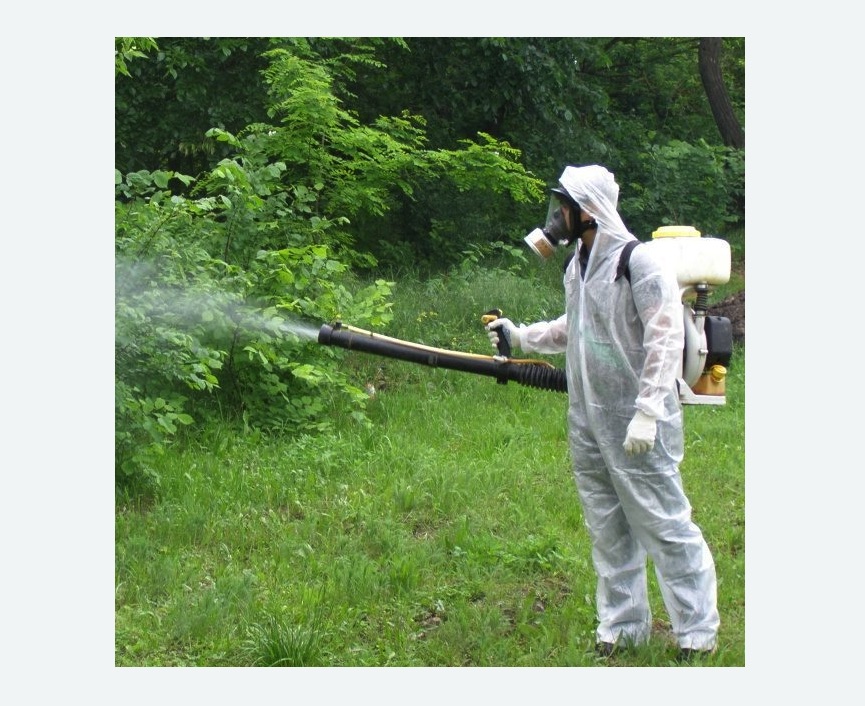 обработка территории от клещей в Кировграде