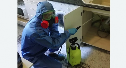 Уничтожение муравьев в квартире. Кировград