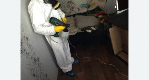 Обработка квартир от насекомых в Кировграде