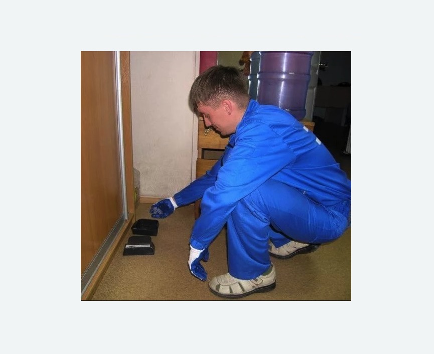 Дератизация крыс в Кировграде