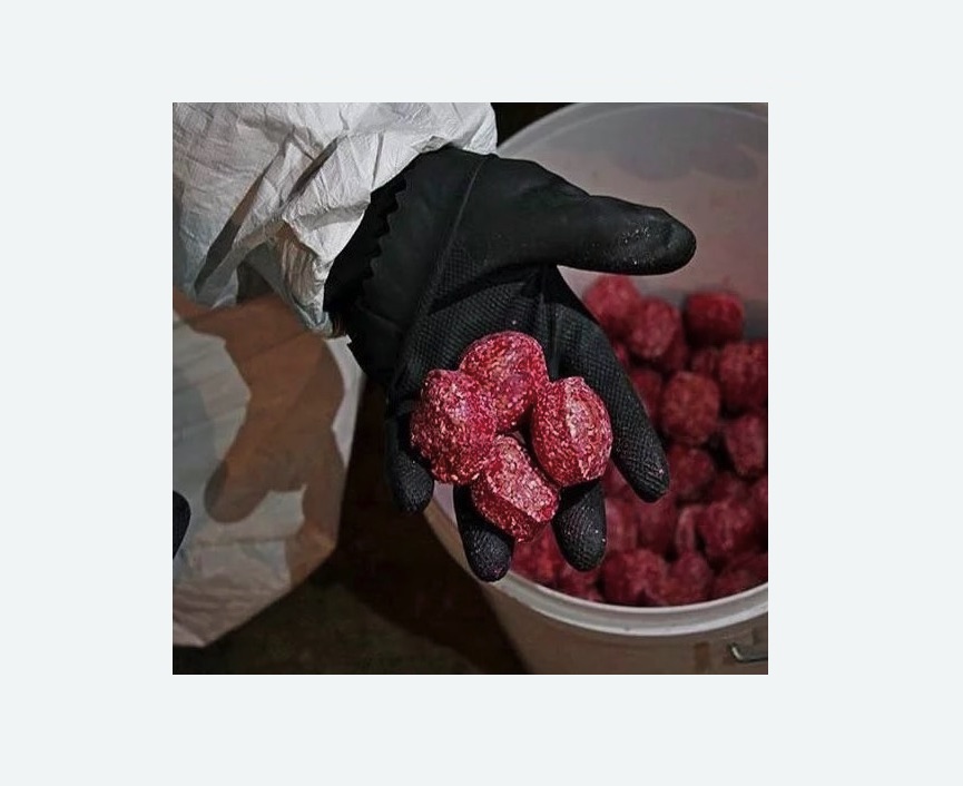 Обработка от крыс в Кировграде