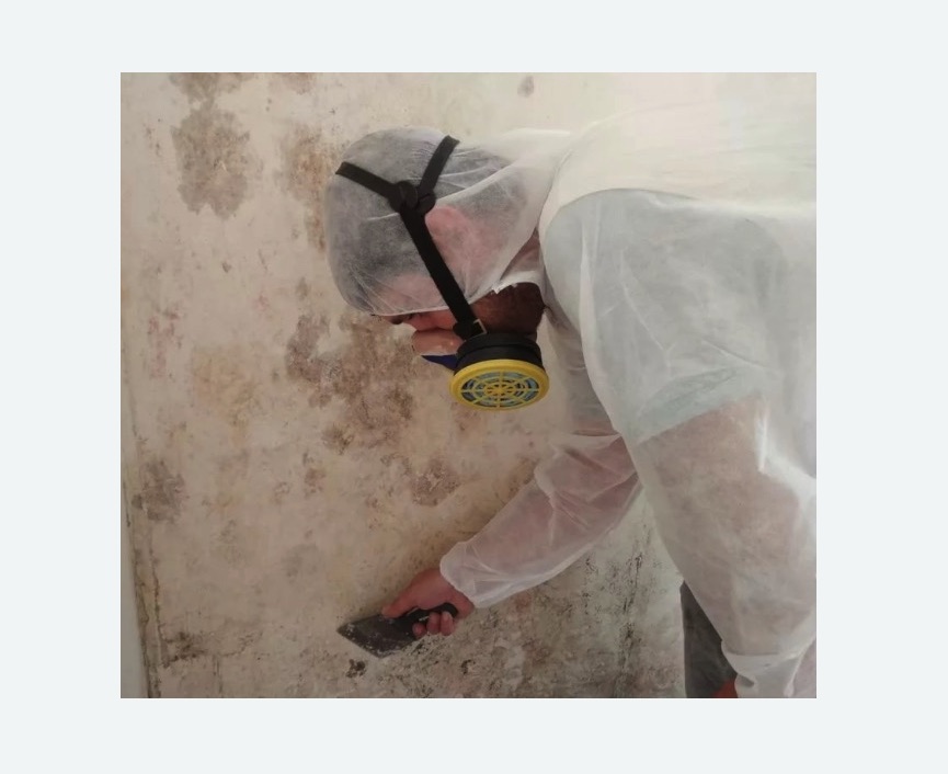 Обработка стен от плесени Обработка стен от плесени в Кировграде