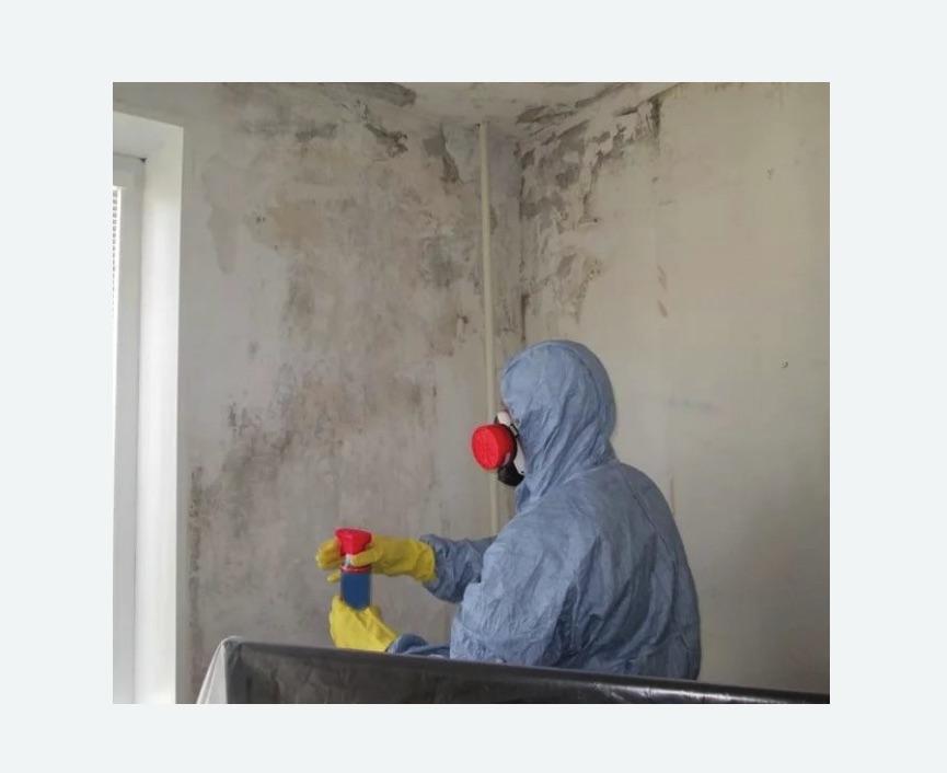 Удаление плесени в квартире Удаление плесени в квартире в Кировграде