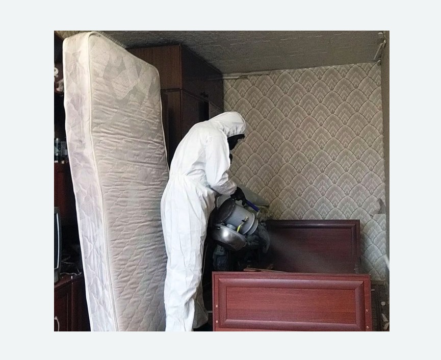 дезинфекция от клопов в Кировграде