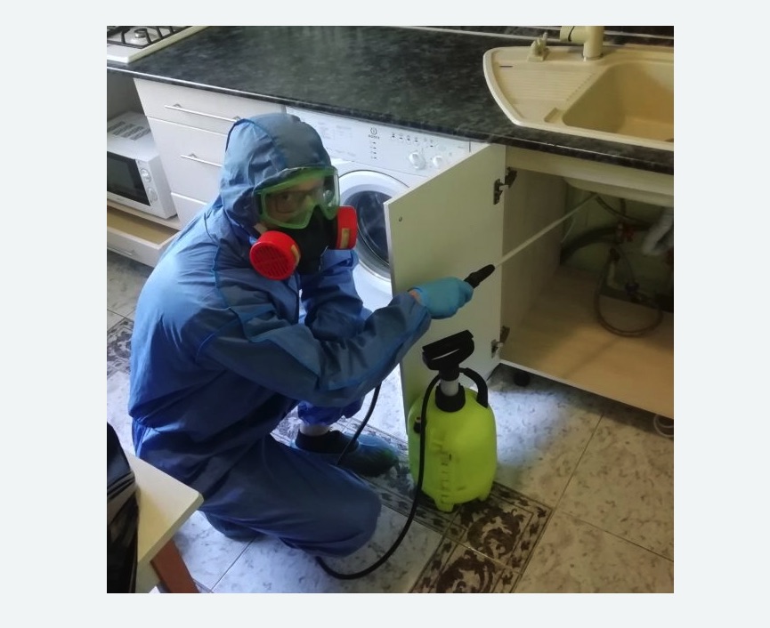 обработка от муравьев в квартире в Кировграде