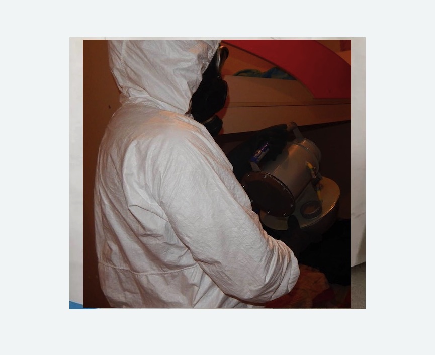 Дезинфекция от муравьев в Кировграде