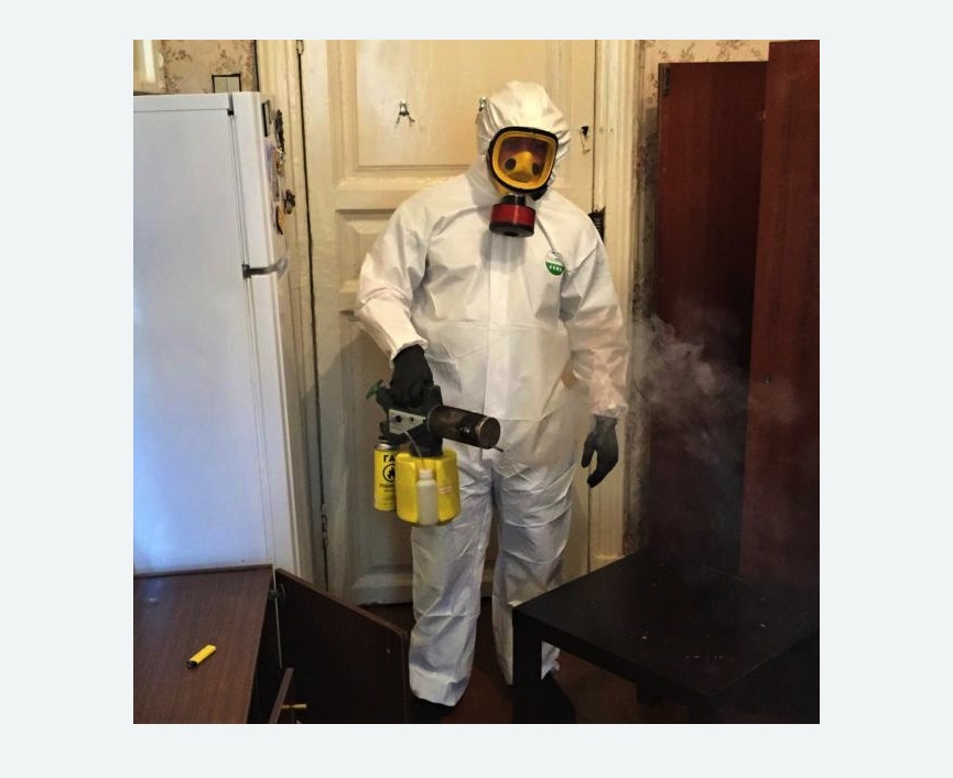 уничтожение муравьев в квартире в Кировграде